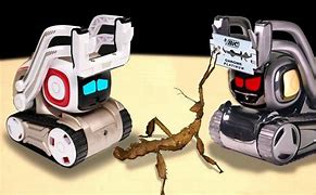 Image result for Vector Robot See the World