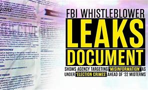 Image result for FBI Whistleblower at Congress Hearing