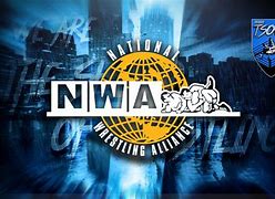 Image result for Old NWA Wrestling Belts