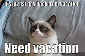 Image result for Return From Fall Vacation Meme