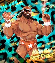 Image result for 80s WWF Posters