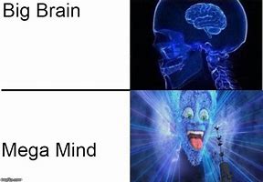 Image result for Mega Brain Meme