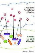 Image result for Antibiotic Resistance