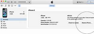 Image result for Factory Reset for iPad with iTunes