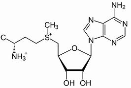 Image result for Adenosyl Strukturformel