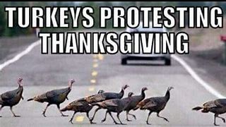 Image result for Thanksgiving Politics Meme Family Brawl