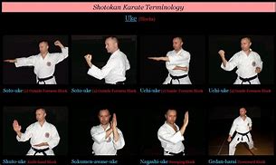 Image result for Types of Karate Moves