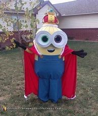 Image result for Minion Costume