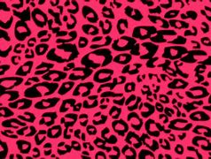 Image result for Pink and White Cheetah Print