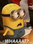 Image result for Minions Whaaaat