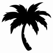 Image result for Palm Tree Silohette SVG