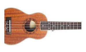 Image result for Hawaiian Music Instruments