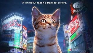 Image result for Cat Nation Japan Electronics