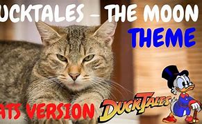 Image result for DuckTales to the Moon Cat Meme