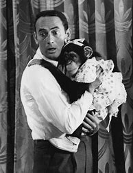Image result for Joey Bishop with Monkey Chimp