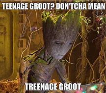 Image result for Teenage Groot Memes