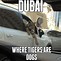 Image result for Dubai Meme