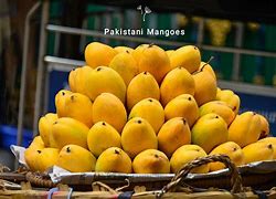 Image result for Pakistani Mangoes Types