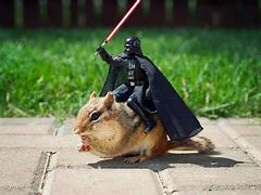 Image result for Funny Star Wars Cat Memes