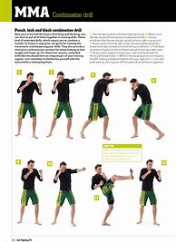 Image result for Martial Arts Workout Routine