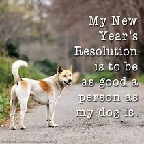 Image result for New Year Dog Quotes