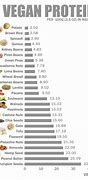 Image result for Vegetarian versus Vegan