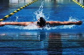 Image result for Butterfly Swimming