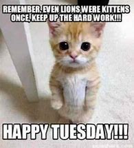 Image result for Good Morning Funny Tuesday Work