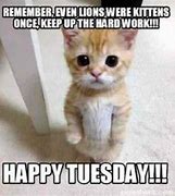 Image result for Tuesday Funny Inspirational Work Meme