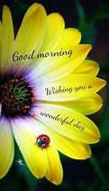 Image result for Have a Wonderful Day Meme