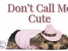 Image result for Don't Call Me Cute