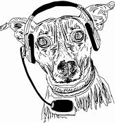 Image result for Dog Headphones Sad Meme