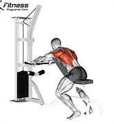 Image result for 30-Day Back Workout Results Men