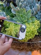 Image result for Macro Lens for iPhone Example Picture