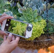 Image result for iPhone 15 Macro Lens