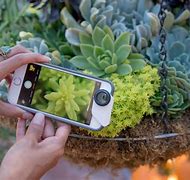 Image result for Fisheye Lens iPhone 8