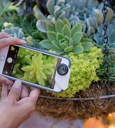 Image result for Macro Photography iPhone 15 Pro Max