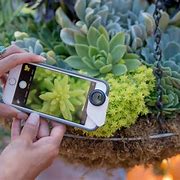 Image result for iPhone Lenses for Photography
