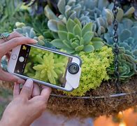 Image result for iPhone SE Photography