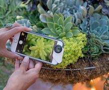 Image result for Lens Accessories iPhone SE
