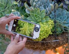 Image result for iPhone 5 Photos Taken From Camera