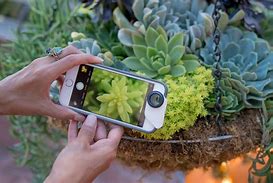 Image result for olloclip iphone macro lenses