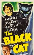 Image result for The Black Cat Cast