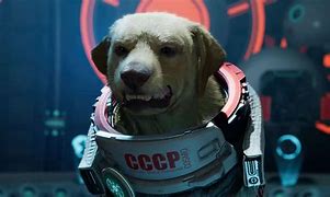 Image result for Guardians of Galaxy Cosmo