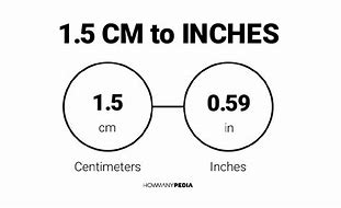 Image result for 16Cm to Inch