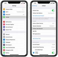 Image result for iPhone Model in Settings