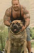Image result for Hercules Biggest Dog in the World