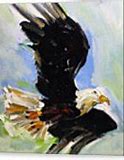 Image result for Bald Eagle Painting