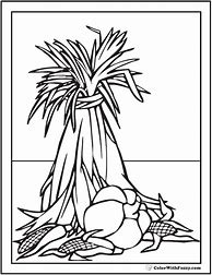 Image result for Harvest Corn Coloring Pages