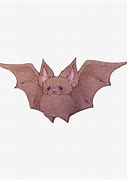Image result for Brush Bat Friend
